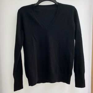 Everlane Cashmere V-neck sweater